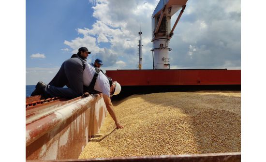 Орос, Украины талууд Хар тэнгисийн экспортын гэрээний хугацааг сунгав