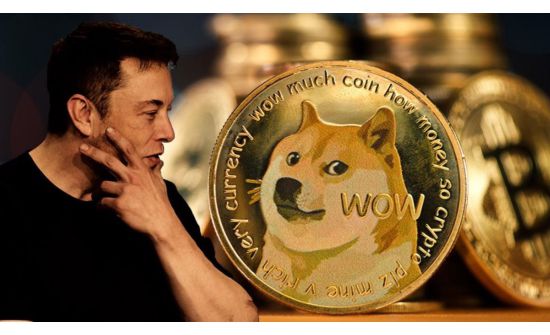Dogecoin-ий Кабосү нохойн бие сайжрав